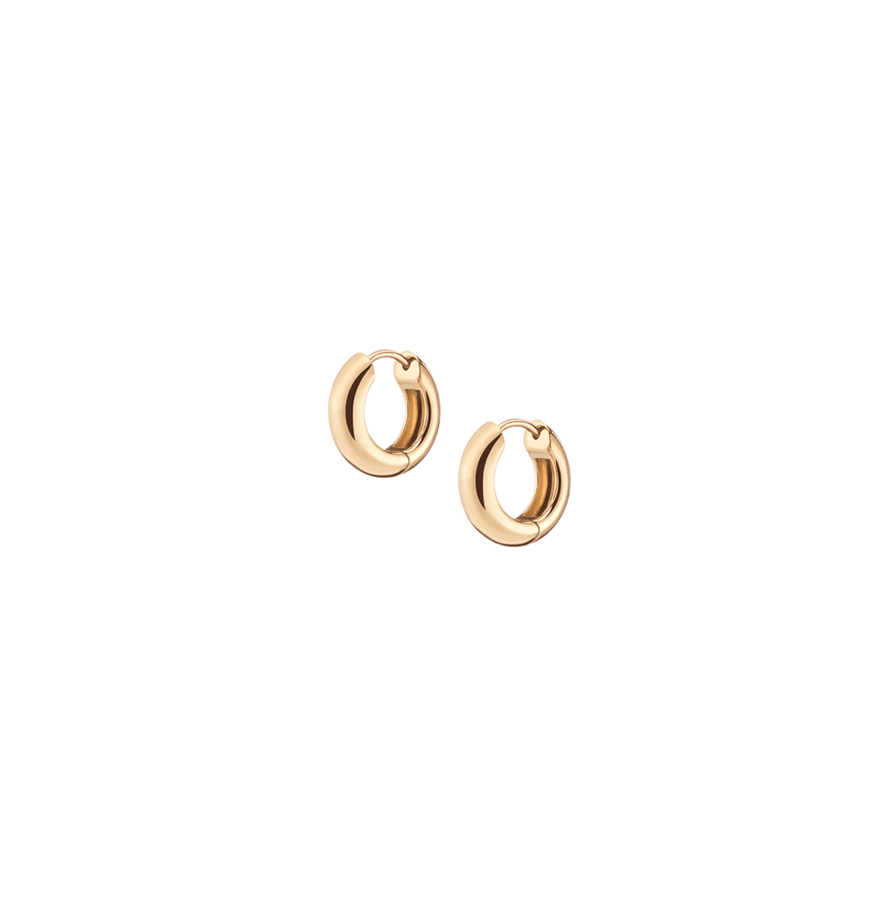 Small Chunky Hinged Hoop Earrings