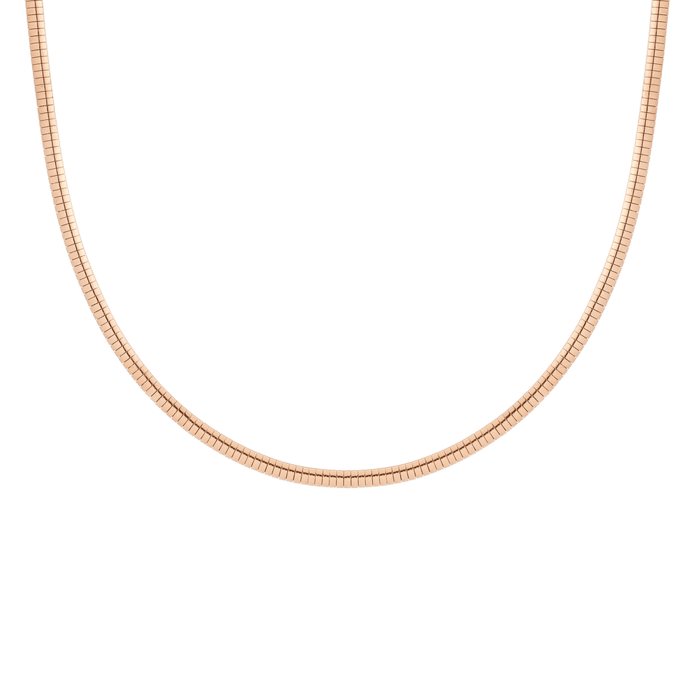 Omega Chain Necklace