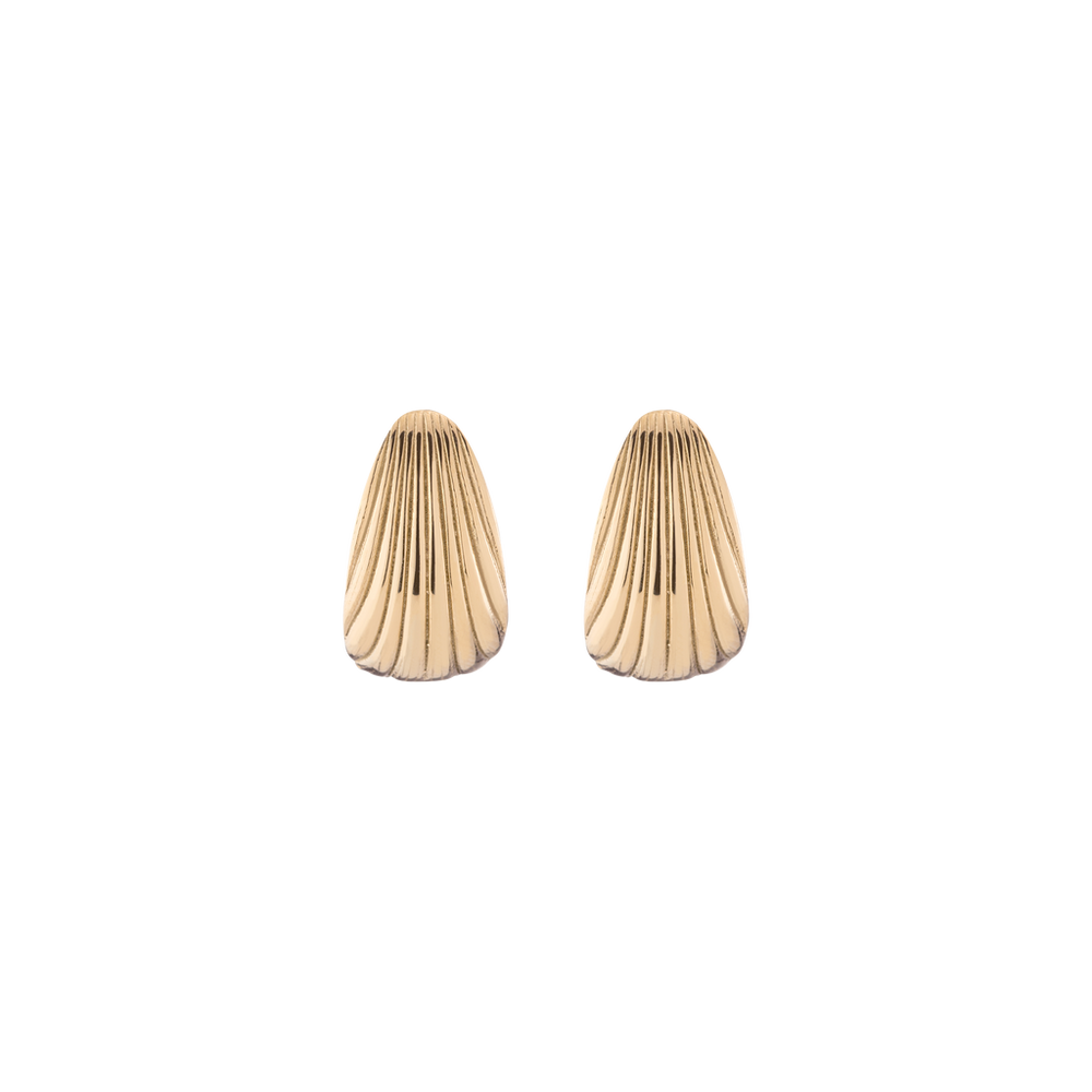 Shell Hinged Hoop Earrings